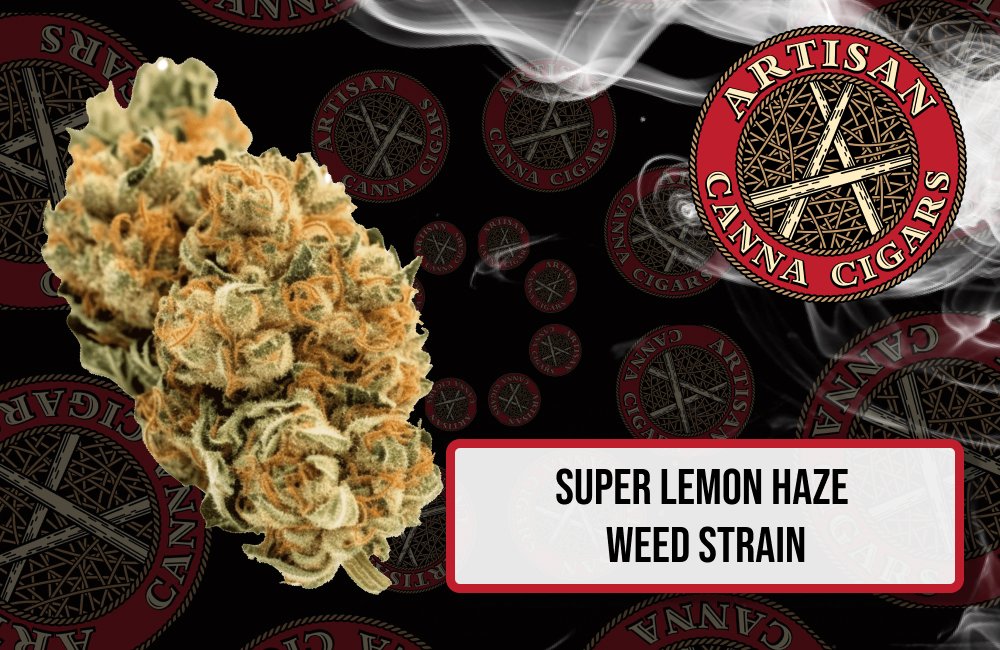 Super Lemon Haze  weed strain
